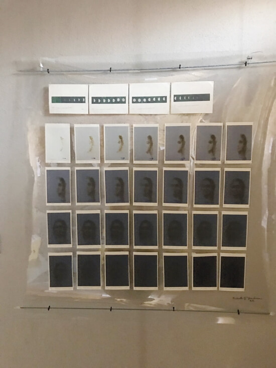 evento performativo Flow-er dell’artista Rossella Pavan