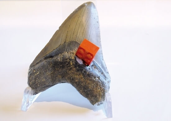 Apocalypse now esposizione artespaziotempo 2018