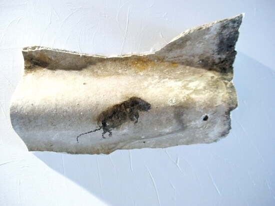 Apocalypse now esposizione artespaziotempo 2018