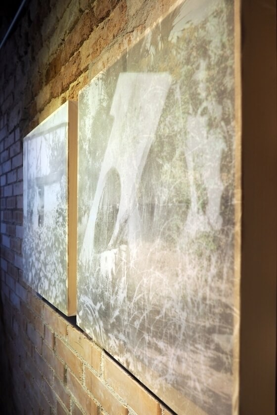 Federica Gonnelli esposizione a Venezia spazio arte tempo in campo del ghetto